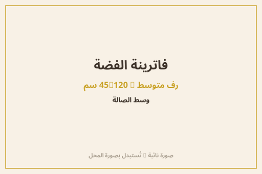 فاترينة الفضة